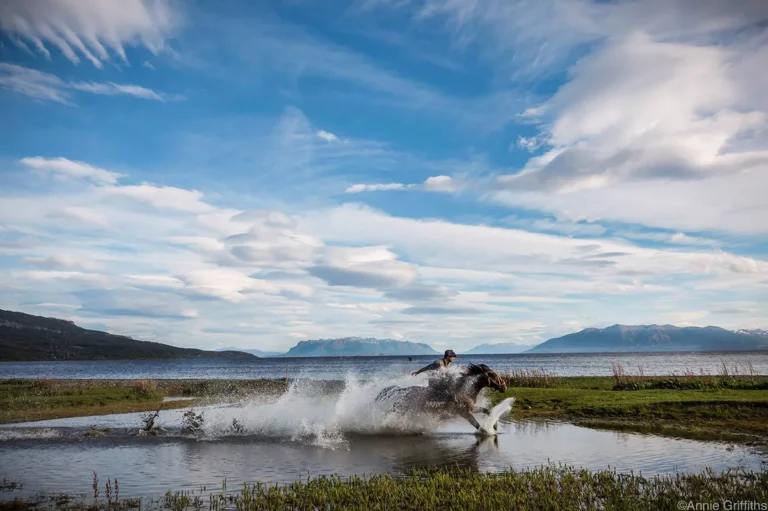 o5dtmaicx9votzebiddj