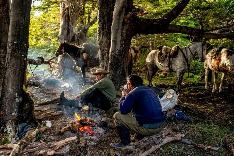 oxuktzmblhy1ihqvlo7a