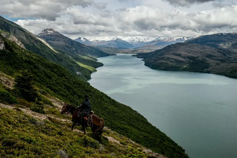 y7jxs1qn4gmzsfa1lcca