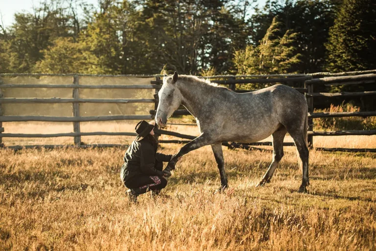 zje3qiyd3gejsmqdavov